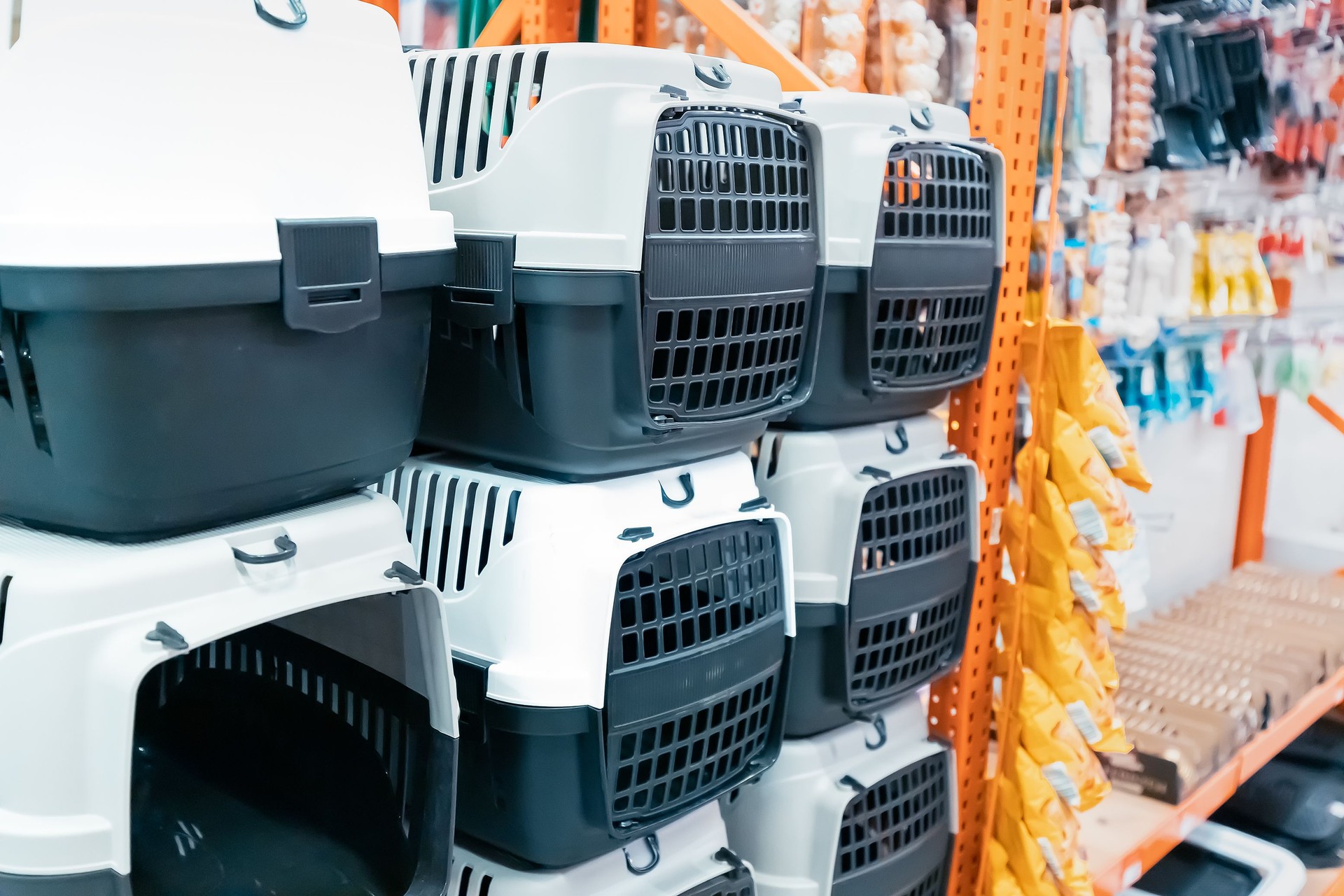 Cat or dog plastic box carrier for sale in pet shop.