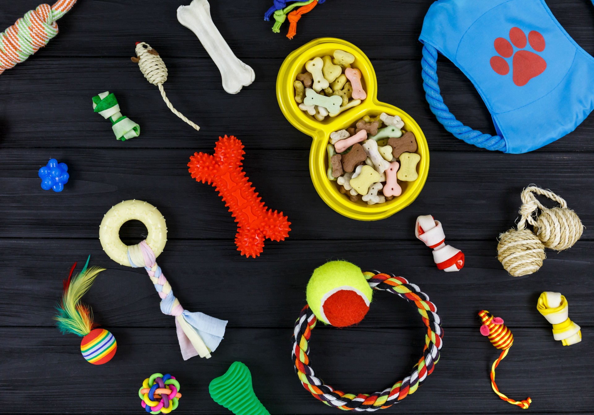 Different accessories for dogs and cats: mouse toy, ball, comb, leash, collar, toys on black wooden background. Pets care and routine concept. close up, top view