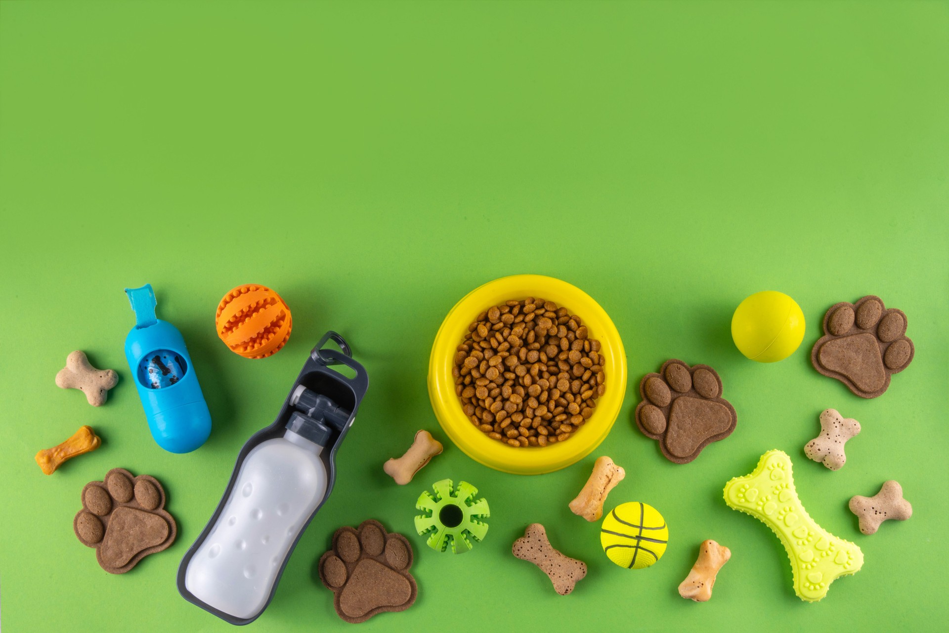Flat lay composition with food, snacks, toys and accessories for dog