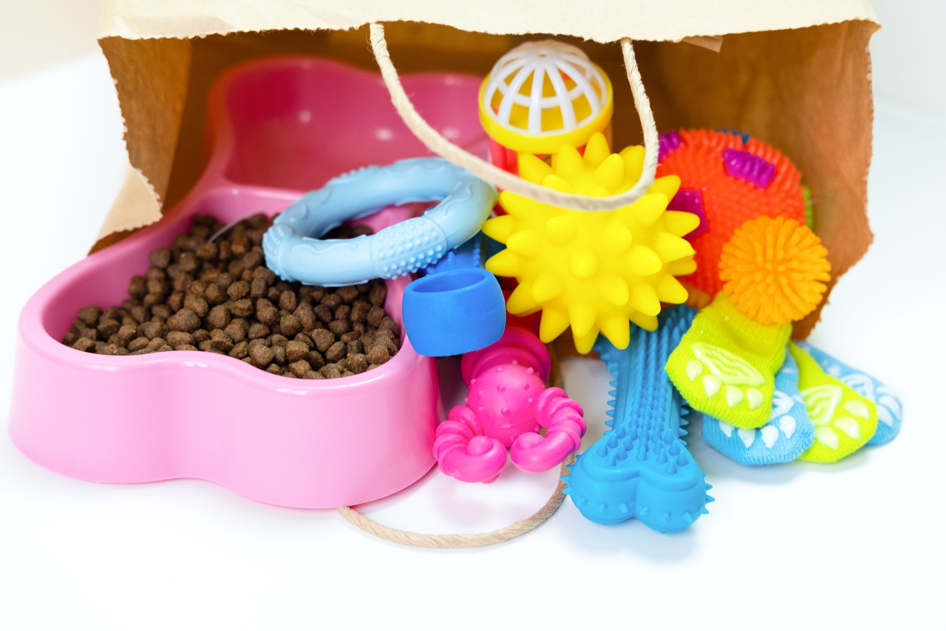 Tasty pet food and accessories on white background copys space delivery